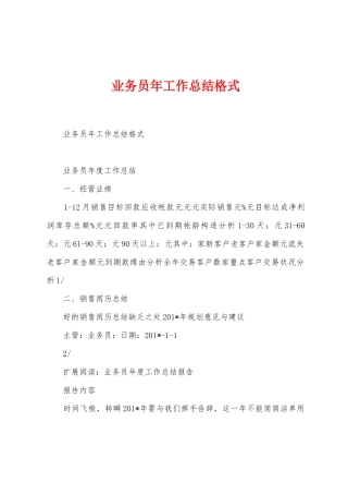 业务员年工作总结格式