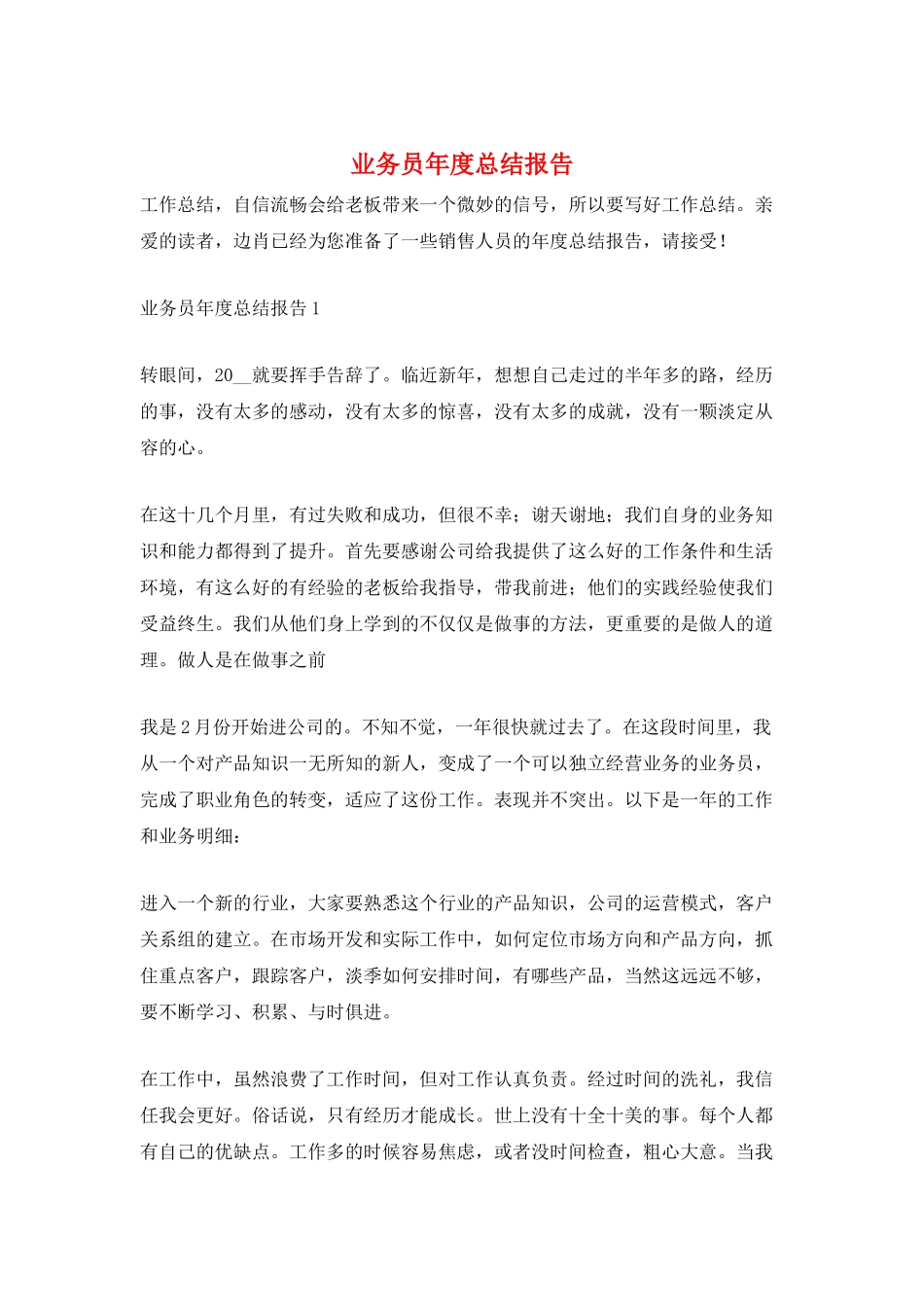 业务员年度总结报告_第1页