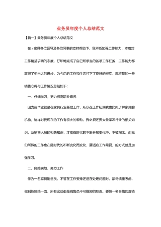 业务员年度个人总结范文