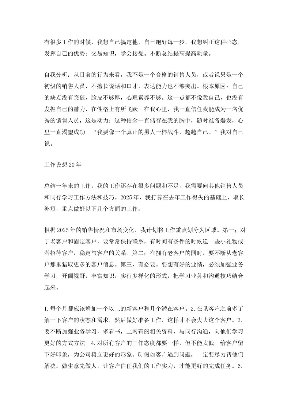 业务员年终个人总结模板_第2页