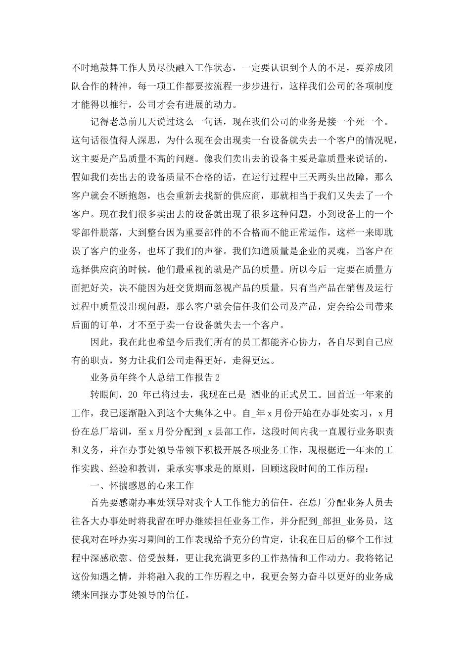 业务员年终个人总结工作报告_第2页
