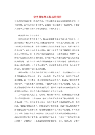 业务员年终工作总结报告