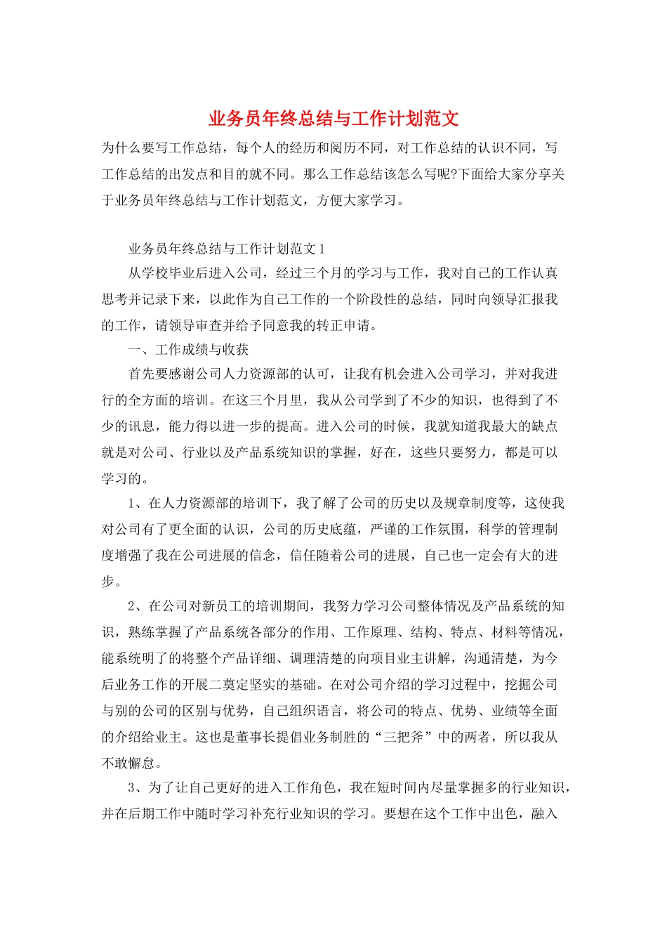 业务员年终总结与工作计划范文_第1页