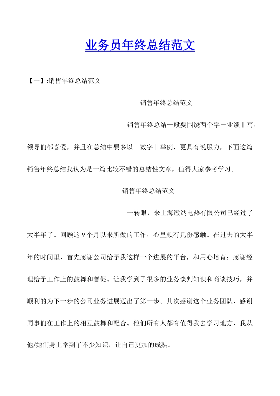 业务员年终总结范文_第1页
