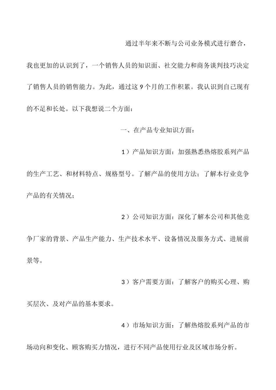 业务员年终总结范文_第2页