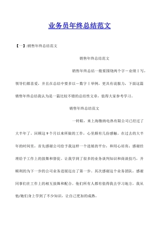 业务员年终总结范文
