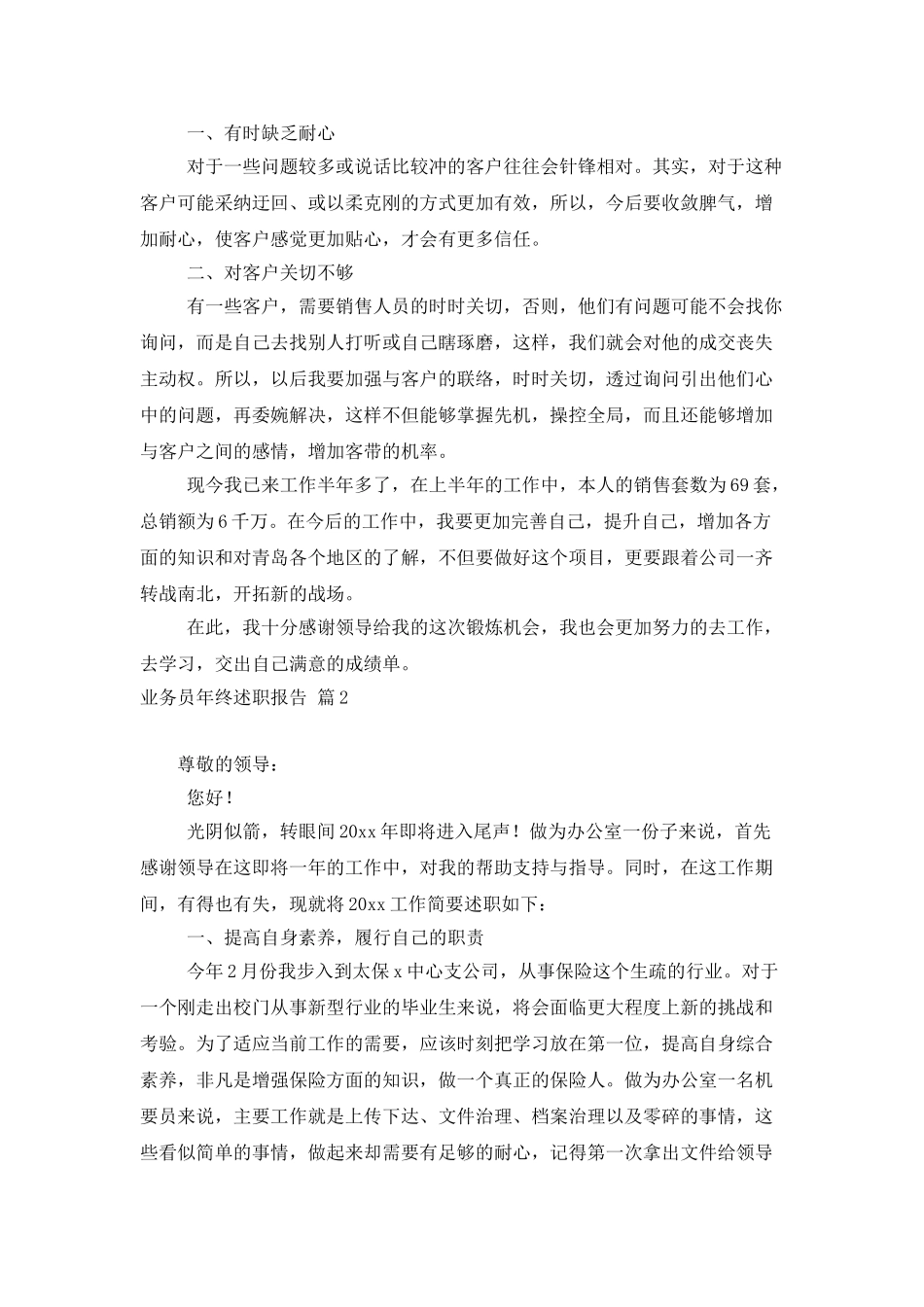 业务员年终述职报告汇总六篇_第2页