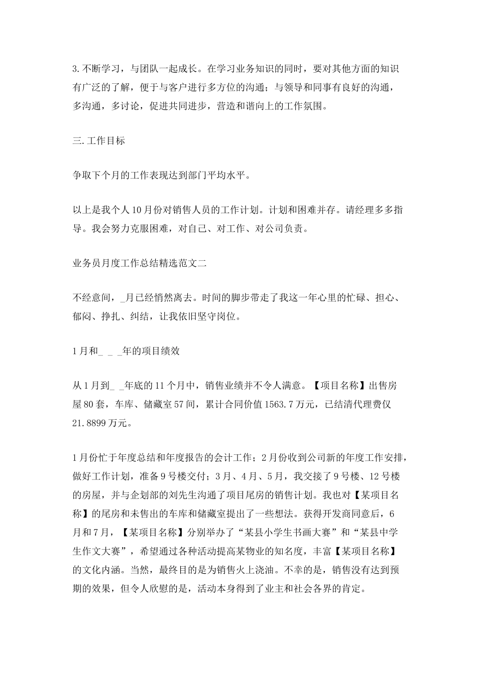 业务员月度工作总结精选范文_第2页