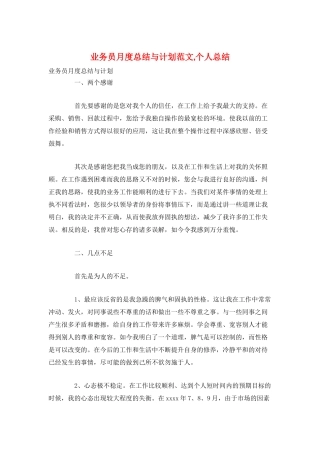 业务员月度总结与计划范文-个人总结