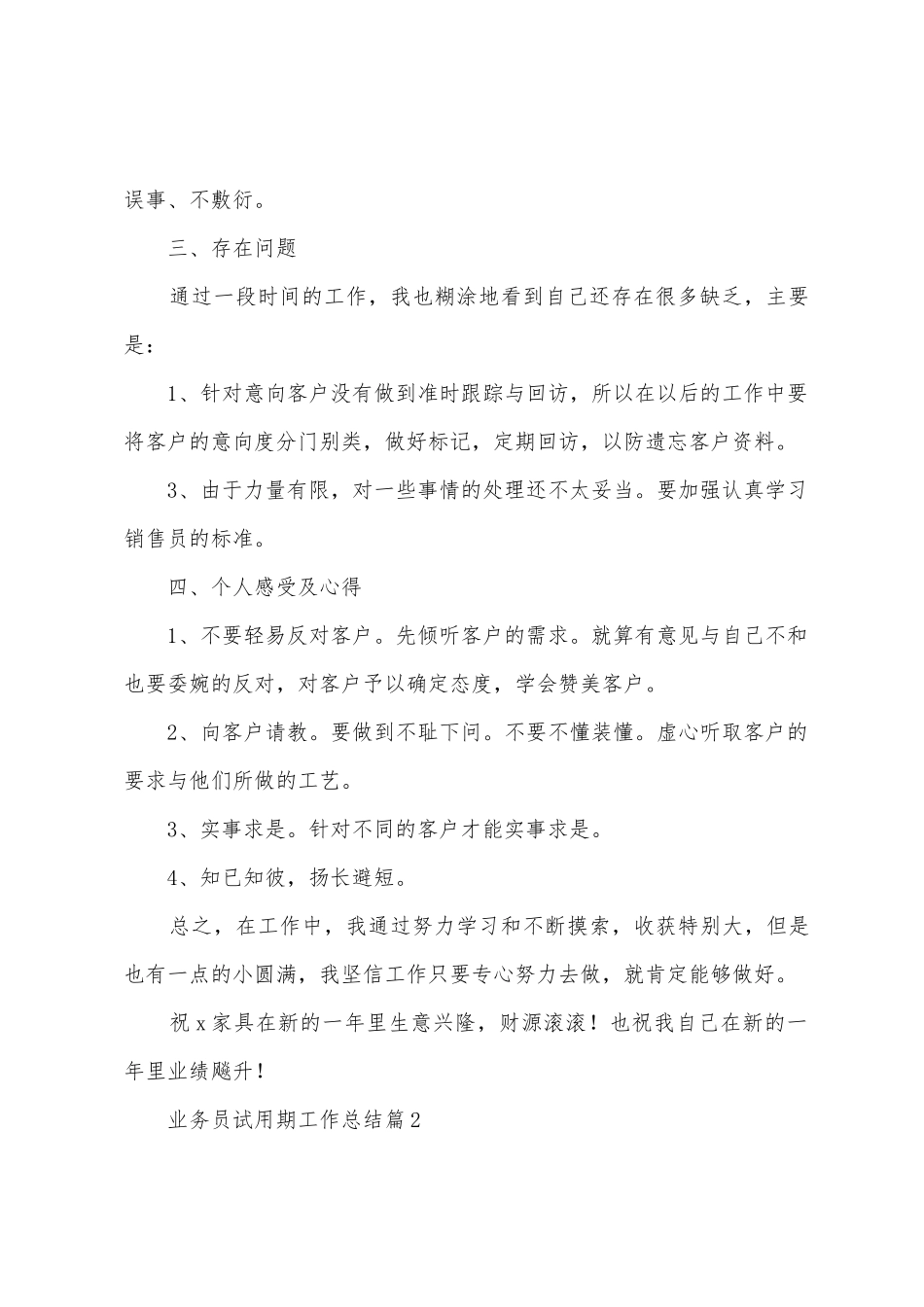 业务员试用期工作总结_第2页