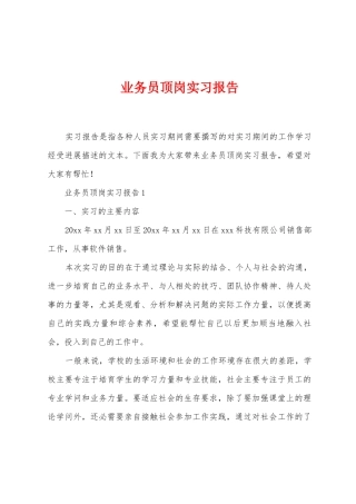 业务员顶岗实习报告