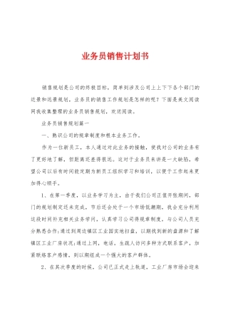 业务员销售计划书
