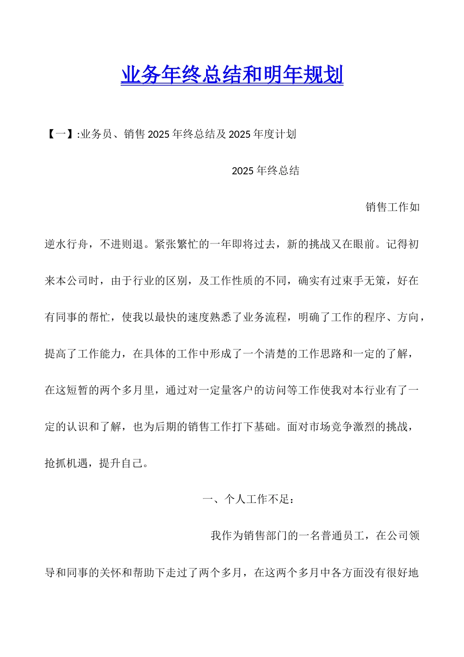 业务年终总结和明年规划_第1页