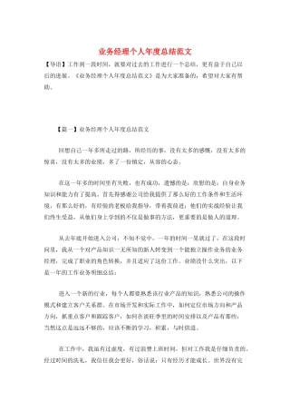 业务经理个人年度总结范文