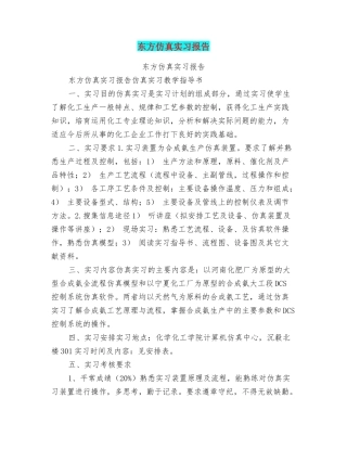 东方仿真实习报告