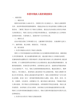 东营市残疾人现状调查报告