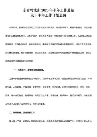 东青司法所2025年半年工作总结及下半年工作计划思路