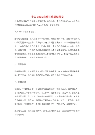 个人2025年度工作总结范文