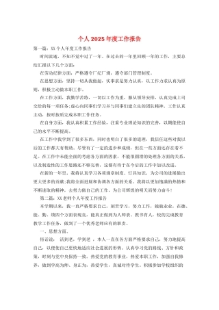 个人2025年度工作报告