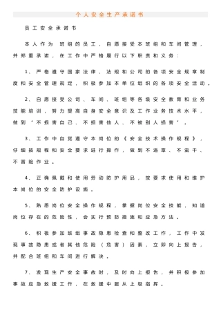 个人安全生产承诺书
