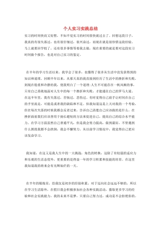 个人实习实践总结