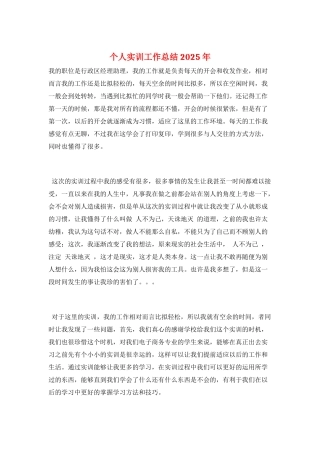 个人实训工作总结2025年