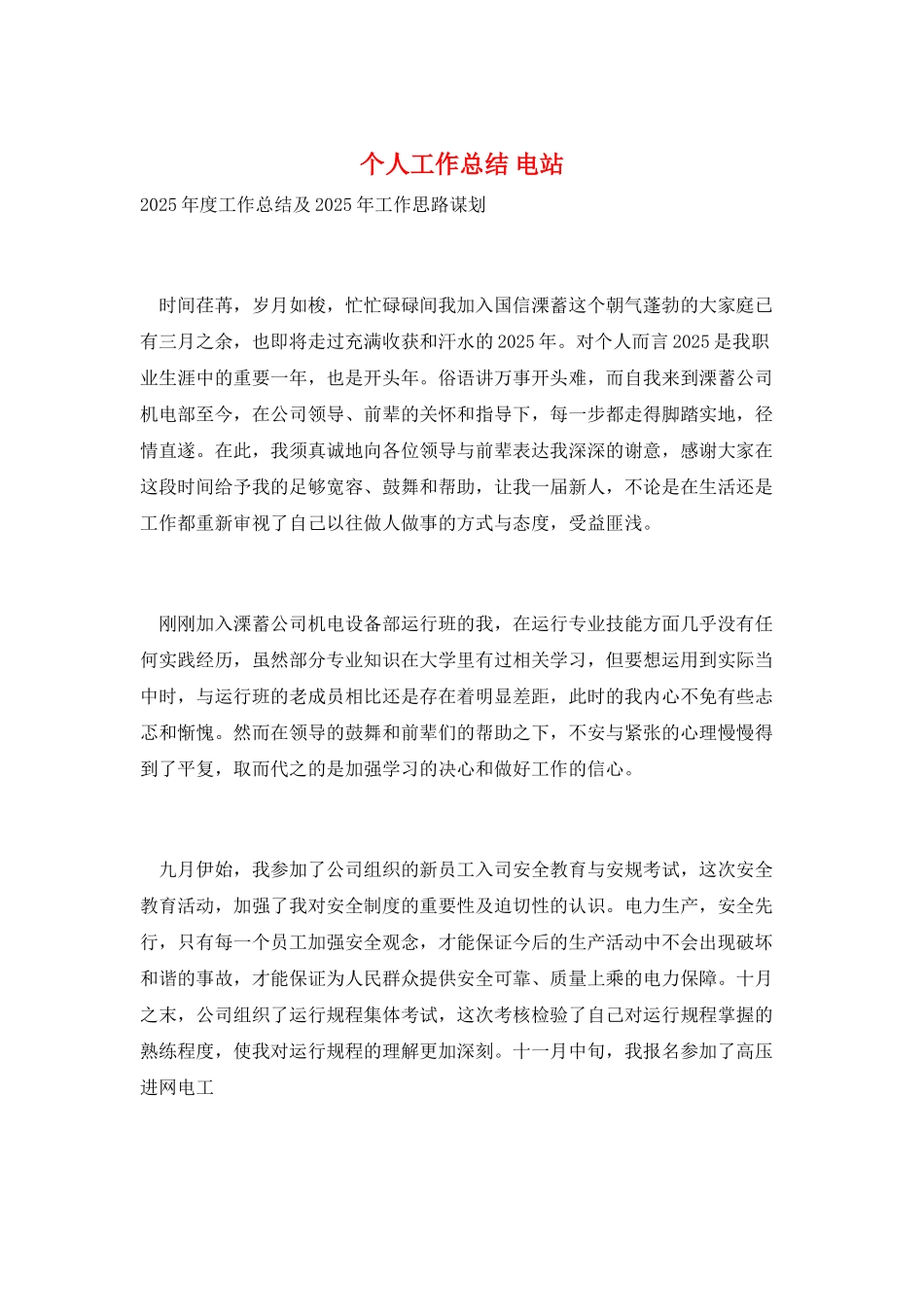 个人工作总结-电站_第1页