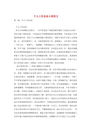 个人工作总结5则范文