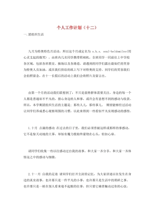 个人工作计划(十二)
