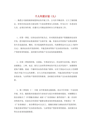 个人年度计划(九)