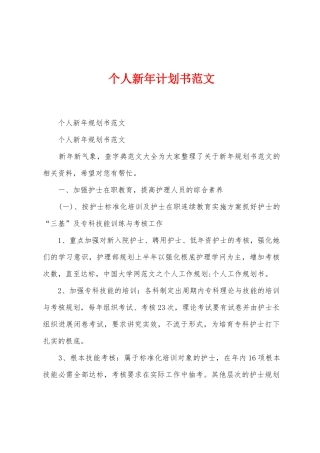 个人新年计划书范文