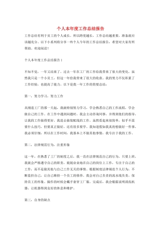 个人本年度工作总结报告