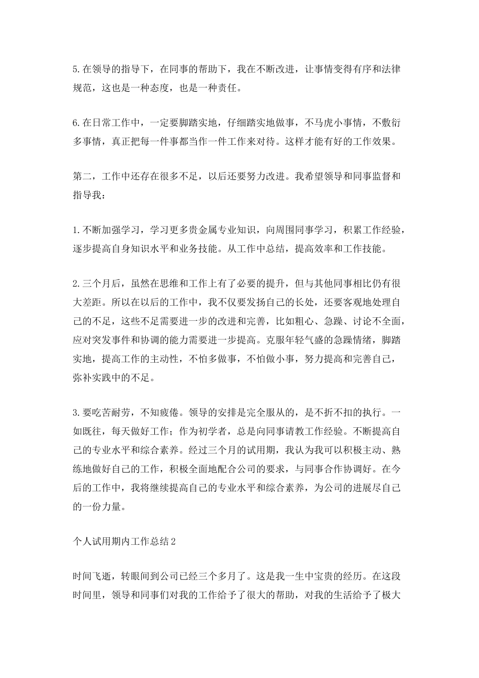 个人试用期内工作总结_第2页