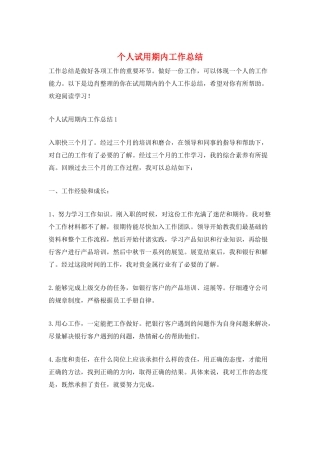 个人试用期内工作总结