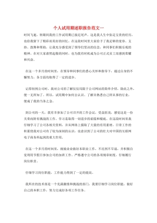 个人试用期述职报告范文一