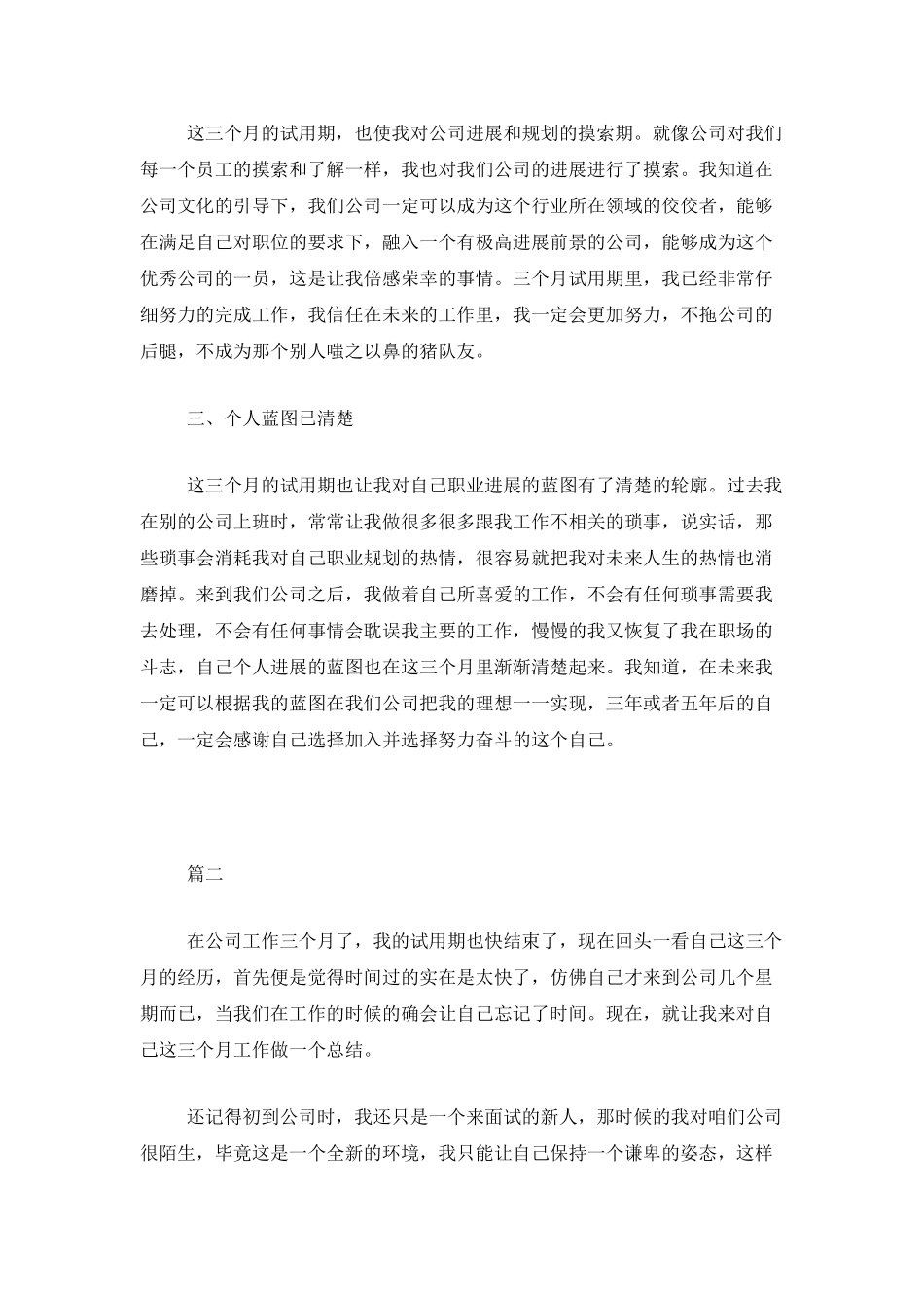 个人试用期转正工作总结范文_第2页