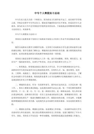 中专个人寒假实习总结
