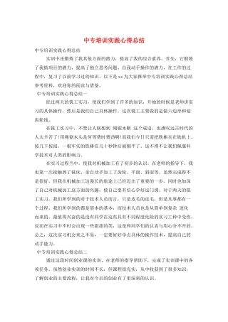 中专培训实践心得总结