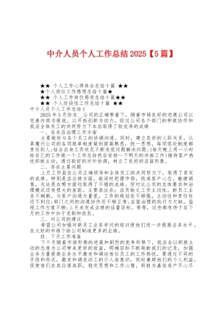 中介人员个人工作总结2025年