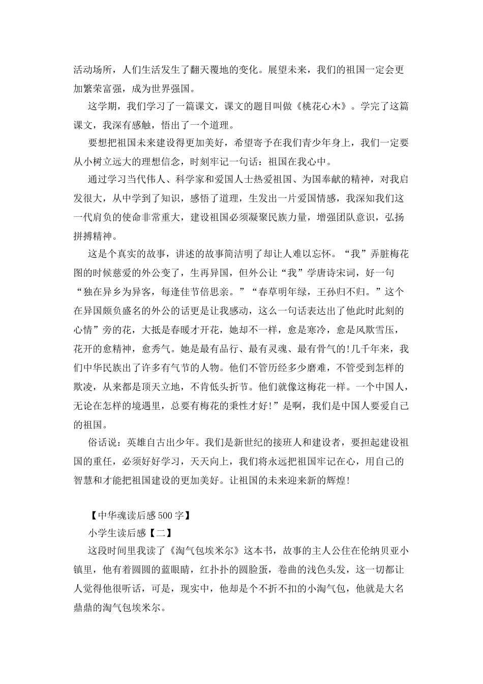 中华魂读后感500字_第2页