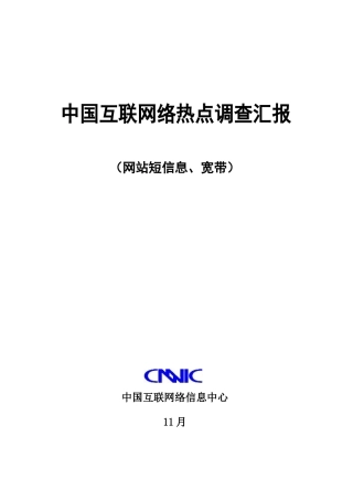 中国互联网络热点调查研究报告