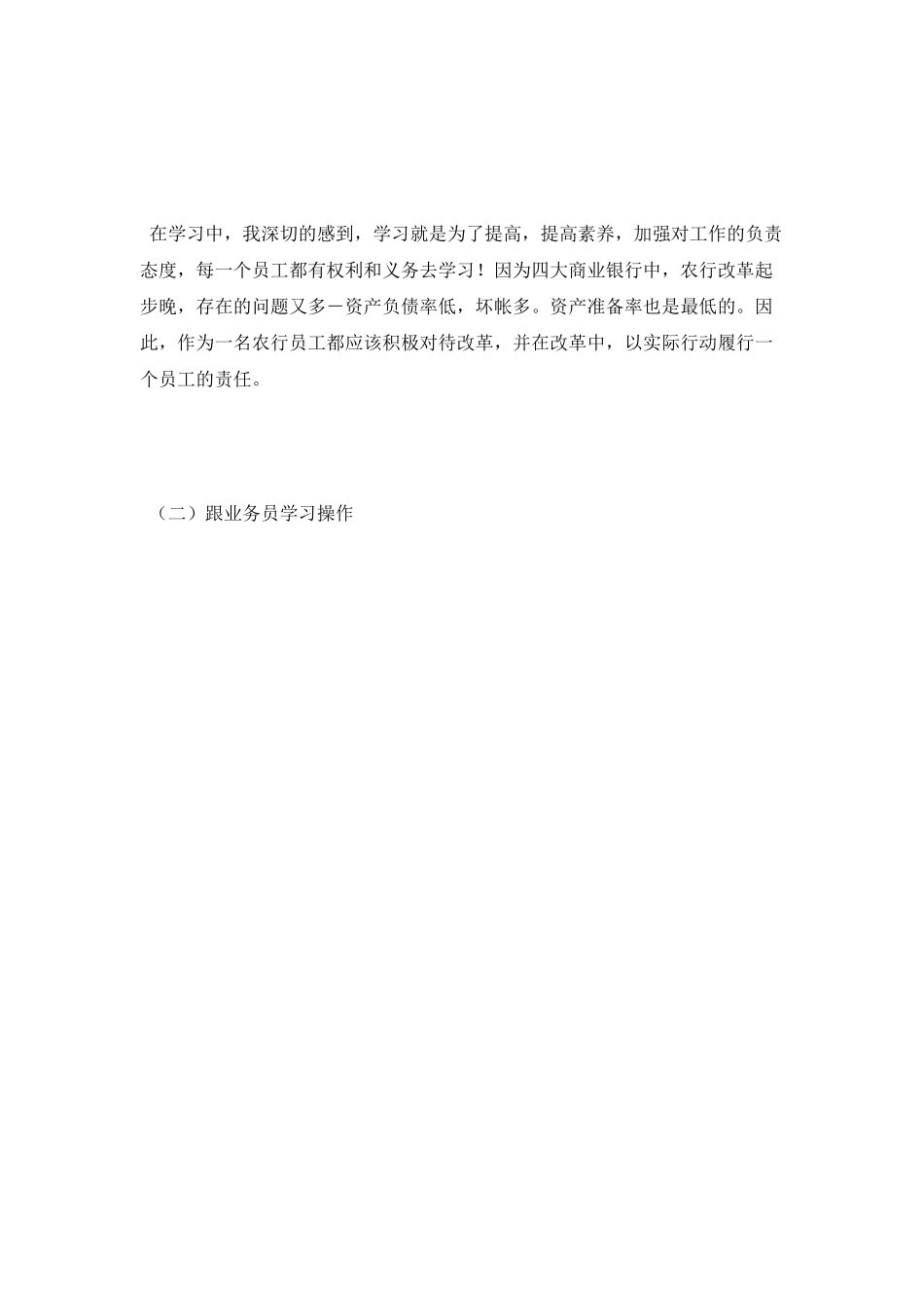 中国农业银行实习报告_第3页