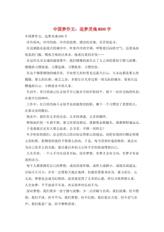 中国梦作文：追梦灵魂800字