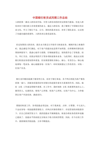 中国银行柜员试用期工作总结