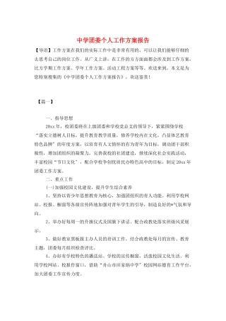 中学团委个人工作计划报告