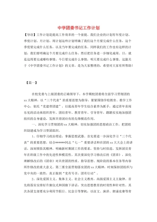 中学团委书记工作计划