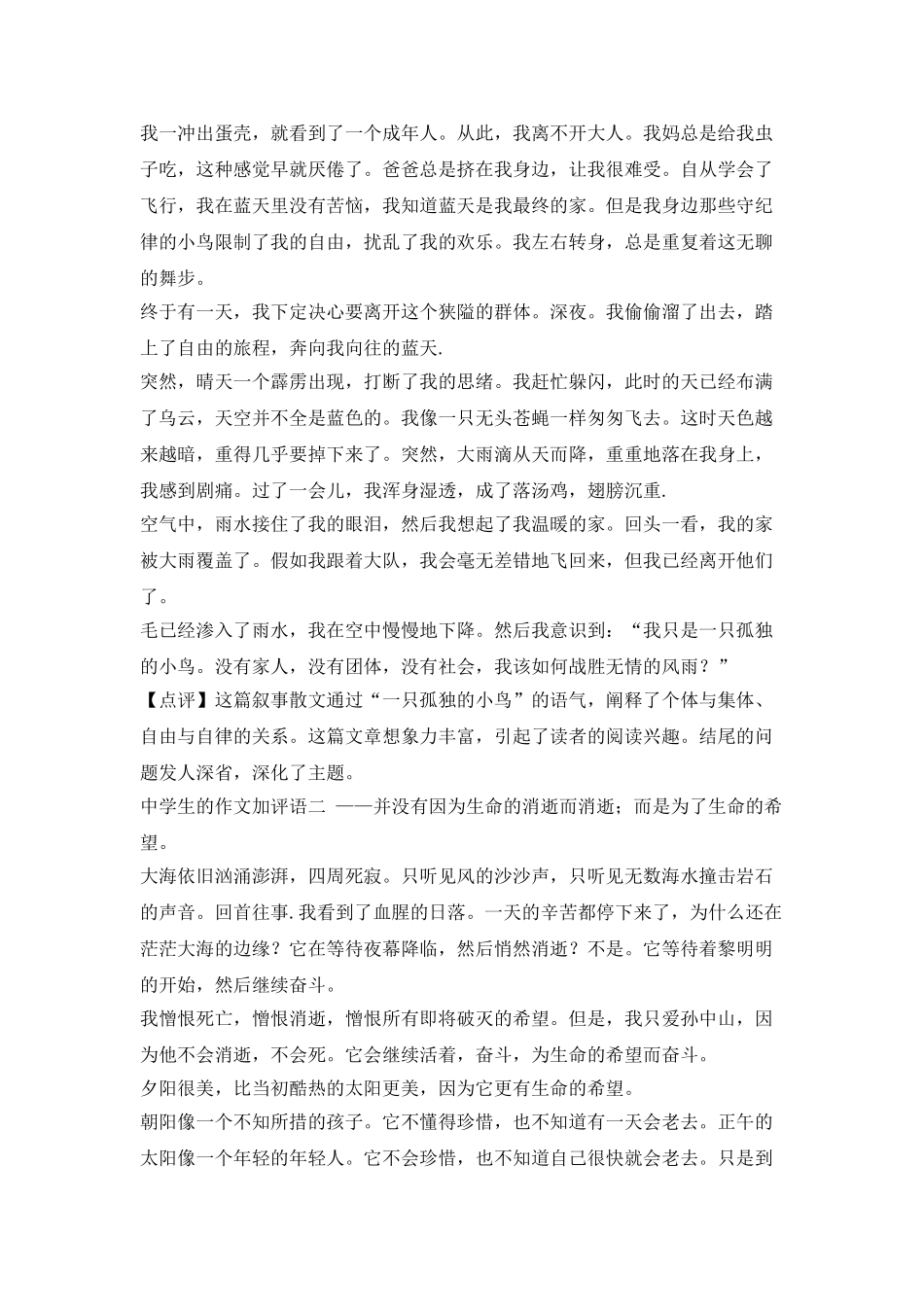 中学生作文及评论_第2页