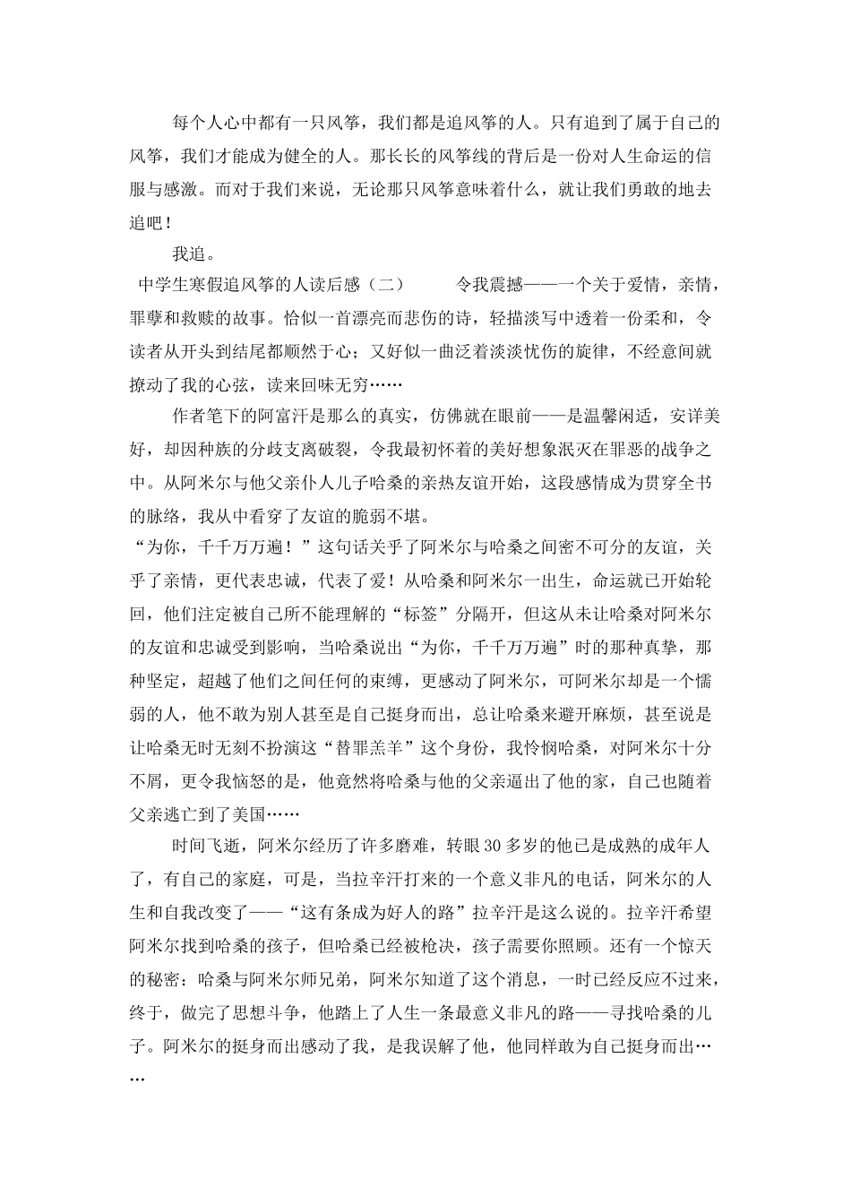 中学生寒假追风筝的人读后感_第2页