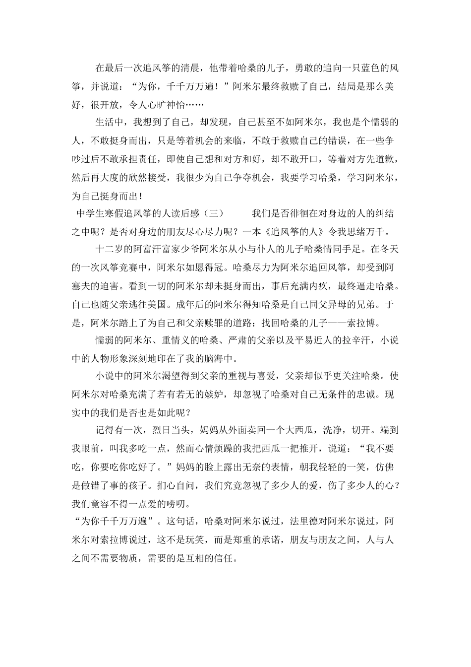 中学生寒假追风筝的人读后感_第3页