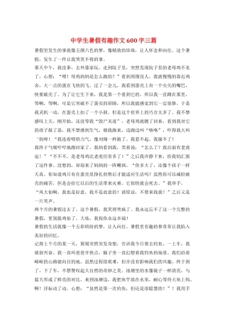 中学生暑假有趣作文600字三篇
